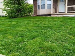 Tamecha Y.'s grass maintenance service result