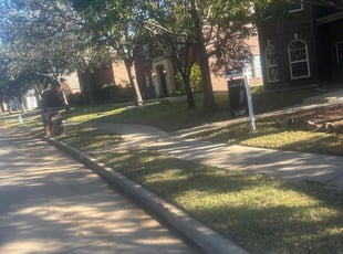 Laura P.'s grass maintenance service result