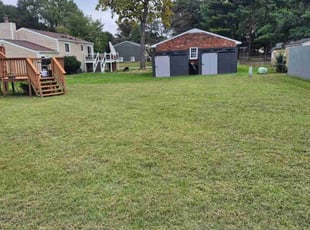 Linda O.'s turf care service result