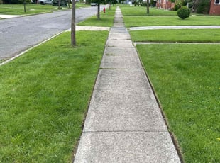 Mary M.'s lawn care services service result