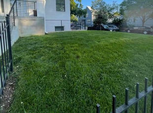 Kenneth S.'s Lawn Mowing service result