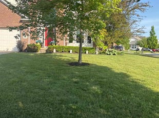 Becky C.'s yard care service result