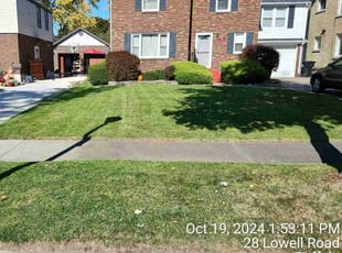 Rodney H.'s lawn maintenance service result