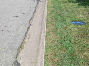 Harvin H.'s grass maintenance service result