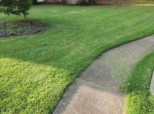 Scott N.'s lawn care service result