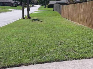 Merna T.'s lawn care services service result