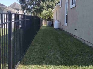 Monique A.'s turf care service result