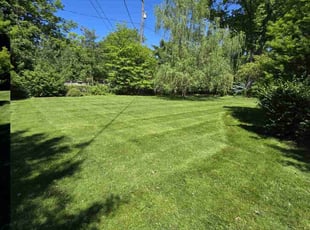 Charley B.'s grass cutting service result