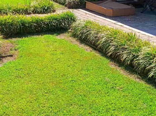 Tony S.'s lawn maintenance service result