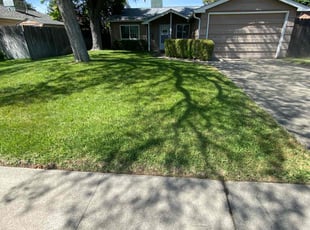 Laura B.'s lawn maintenance service result