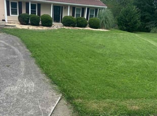 Colleen B.'s grass maintenance service result