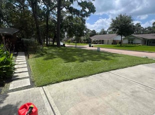 Maryanne S.'s turf care service result