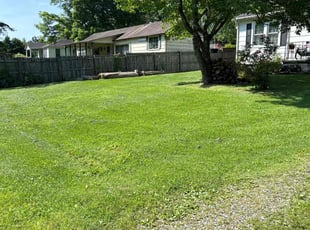 Anthony B.'s grass maintenance service result
