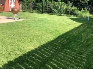Gina S.'s grass cutting service result