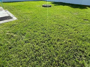 Sara P.'s turf maintenance service result