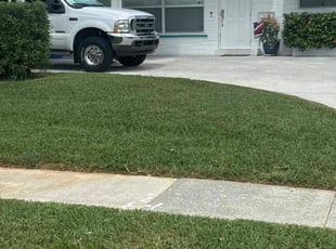 Melvin J.'s lawn maintenance service result