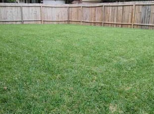 Rebecca V.'s grass maintenance service result