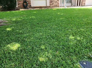 Michael C.'s lawn maintenance service result