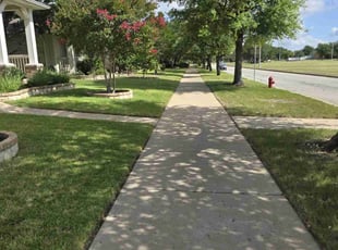 Frederick H.'s lawn care service result
