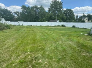 Robin L.'s grass cutting service result