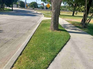 Robert L.'s lawn care services service result