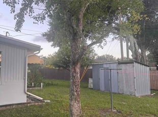 Kathryn B.'s Tree Trimming service result