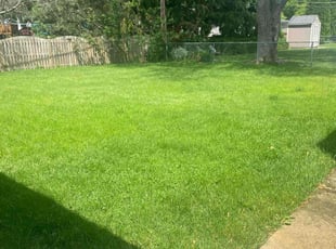 John K.'s landscaping services service result