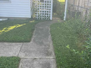 Beth H.'s turf care service result