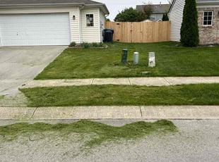 Lisa J.'s turf care service result