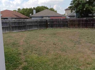 Marq C.'s turf care service result