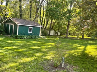 Tracey L.'s grass cutting service result
