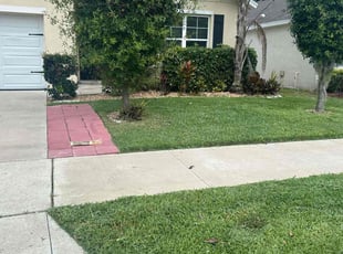 Josh L.'s grass cutting service result