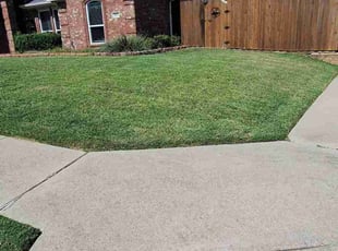 Juan V.'s turf maintenance service result