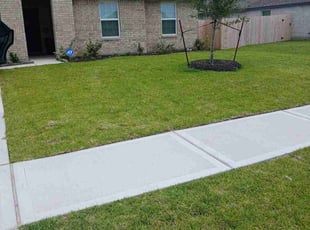 Lana S.'s turf maintenance service result