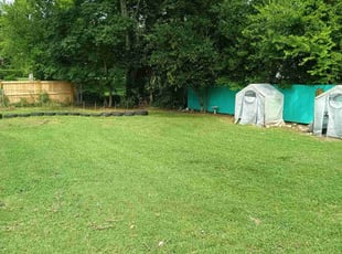 Sharolyn G.'s lawn care services service result