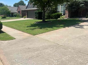 Monique W.'s grass maintenance service result