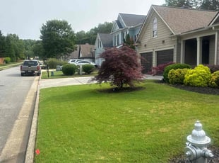 Cornelia B.'s lawn maintenance service result