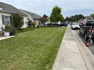 Jackie G.'s grass maintenance service result
