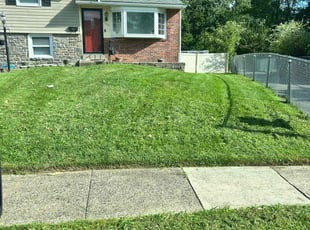 Dan M.'s lawn service service result