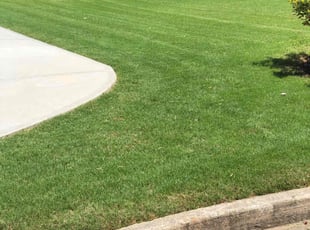 Dewey L.'s lawn service service result