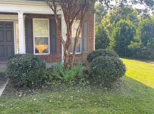 Ann H.'s Bush Trimming service result