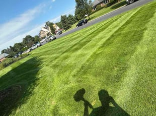 James G.'s lawn service service result