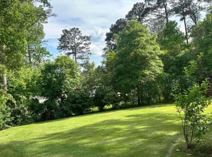 Thishilyn B.'s turf maintenance service result