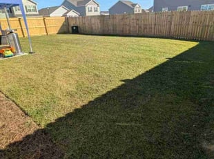 Lacey R.'s grass cutting service result