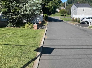 Ed M.'s lawn care service result