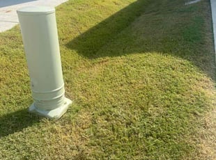 Christopher P.'s turf maintenance service result