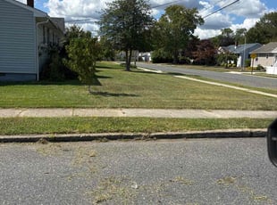 Sam W.'s turf care service result