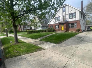 VANESSA F.'s grass maintenance service result