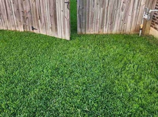 Amanda M.'s lawn care services service result