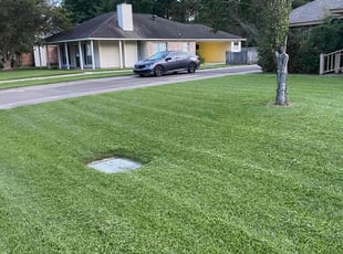 James B.'s turf maintenance service result